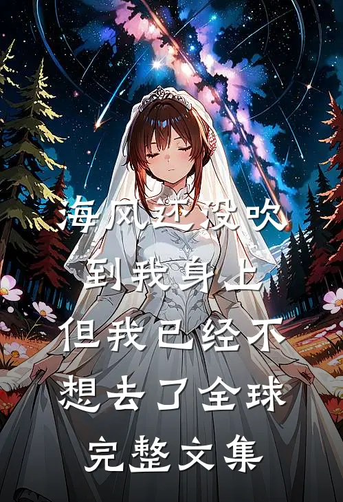海风还没吹到我身上，但我已经不想去了全球完整文集