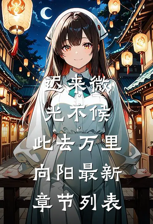 迟来微光不候，此去万里向阳最新章节列表