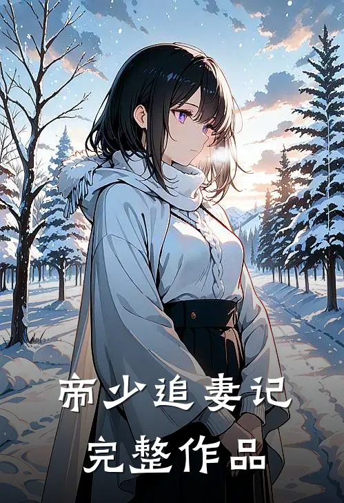 帝少追妻记完整作品