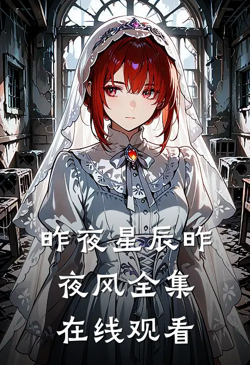 昨夜星辰昨夜风全集在线观看