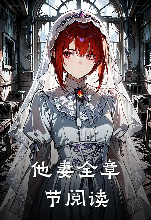 他妻全章节阅读