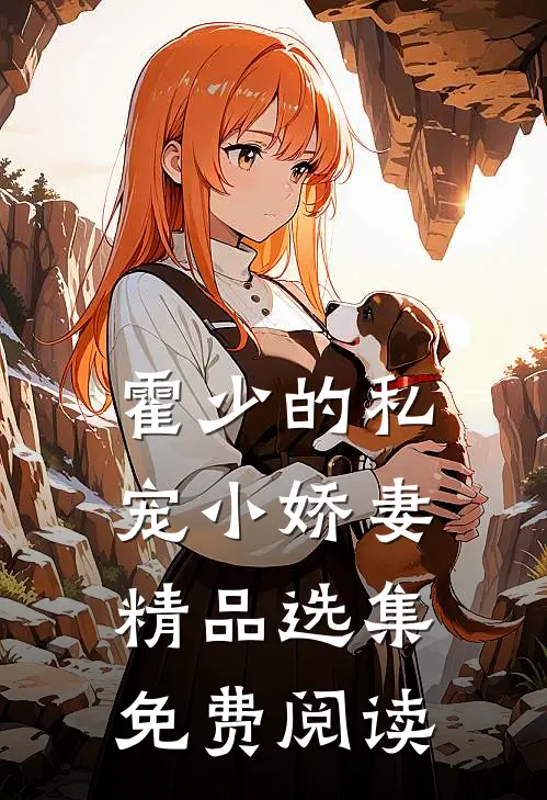 霍少的私宠小娇妻精品选集免费阅读