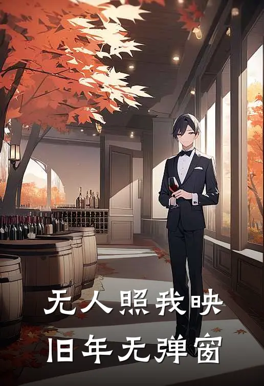 无人照我映旧年无弹窗