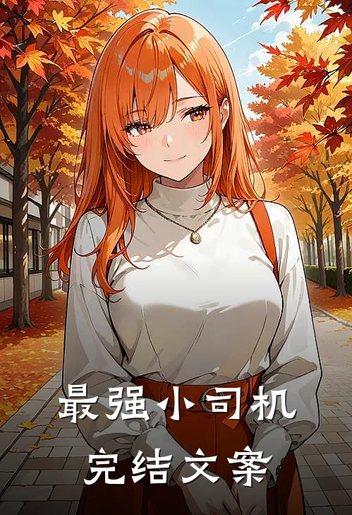 最强小司机完结文案