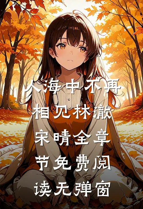 人海中不再相见林澈宋晴全章节免费阅读无弹窗