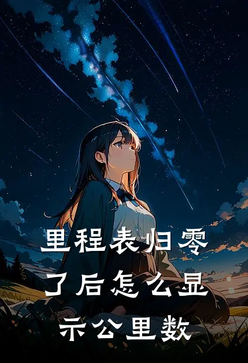 里程表归零了后怎么显示公里数