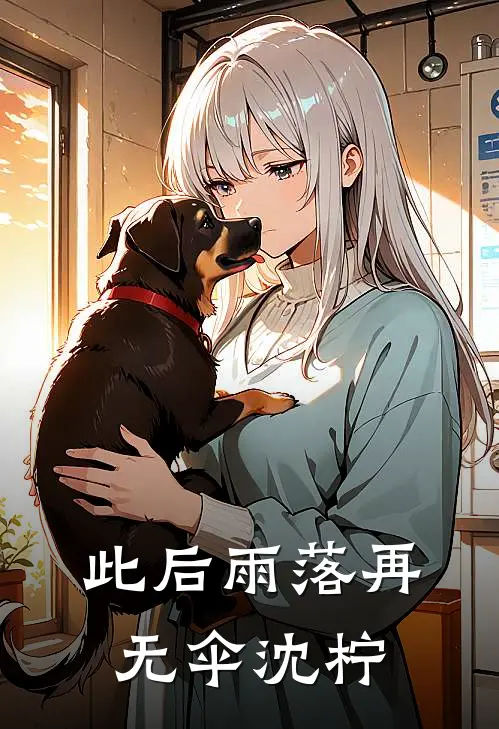 此后雨落再无伞沈柠