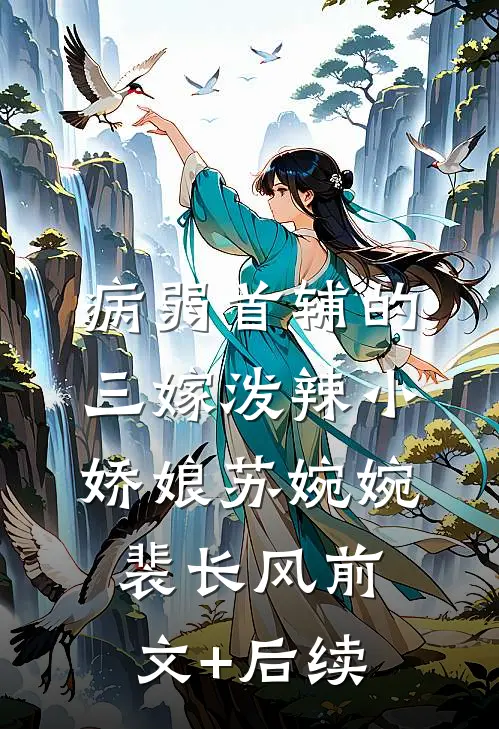 病弱首辅的三嫁泼辣小娇娘苏婉婉裴长风前文+后续