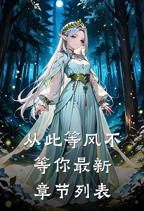 从此等风不等你最新章节列表