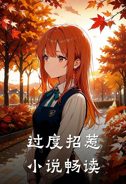 过度招惹小说畅读