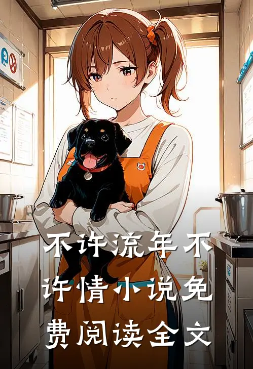 不许流年不许情小说免费阅读全文