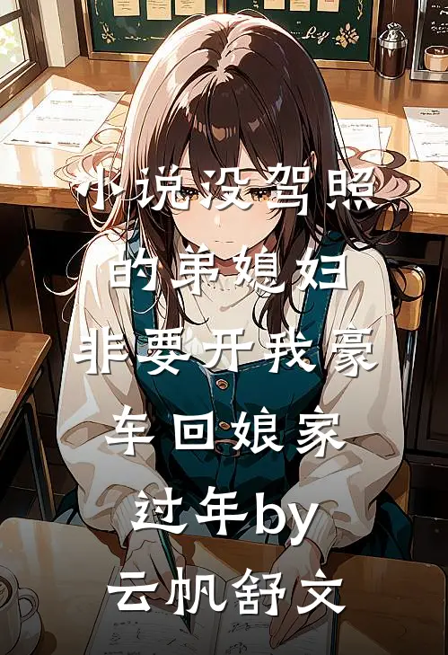 小说没驾照的弟媳妇，非要开我豪车回娘家过年by云帆舒文