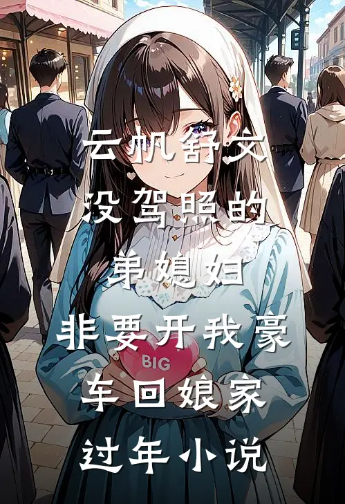 云帆舒文没驾照的弟媳妇，非要开我豪车回娘家过年小说