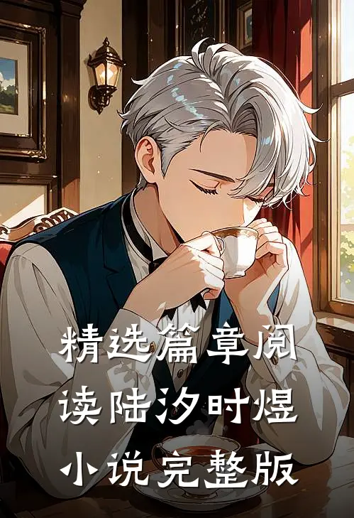 精选篇章阅读陆汐时煜小说完整版