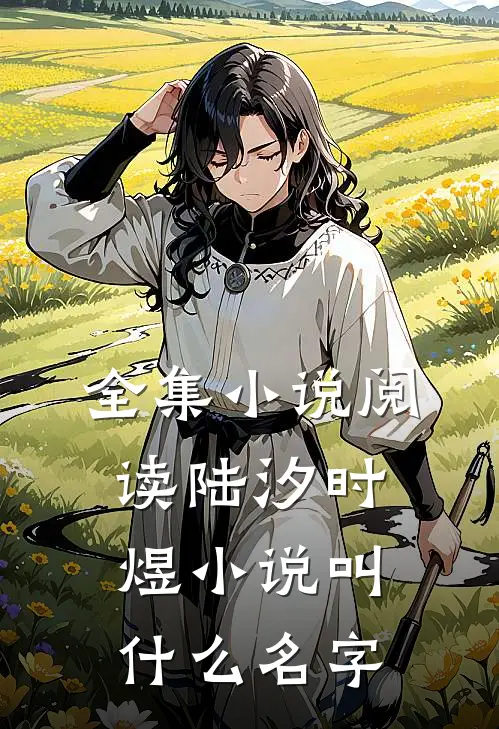 全集小说阅读陆汐时煜小说叫什么名字