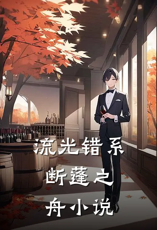 流光错系断蓬之舟小说