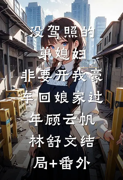 没驾照的弟媳妇，非要开我豪车回娘家过年顾云帆林舒文结局+番外