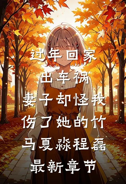 过年回家出车祸，妻子却怪我伤了她的竹马夏淼程磊最新章节