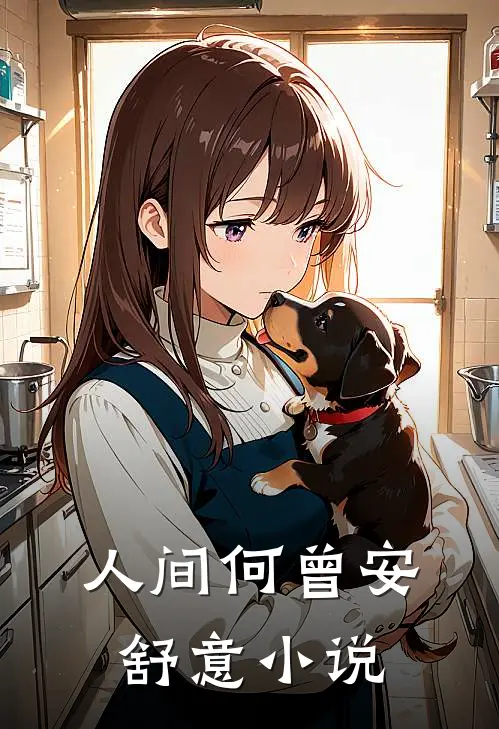 人间何曾安舒意小说