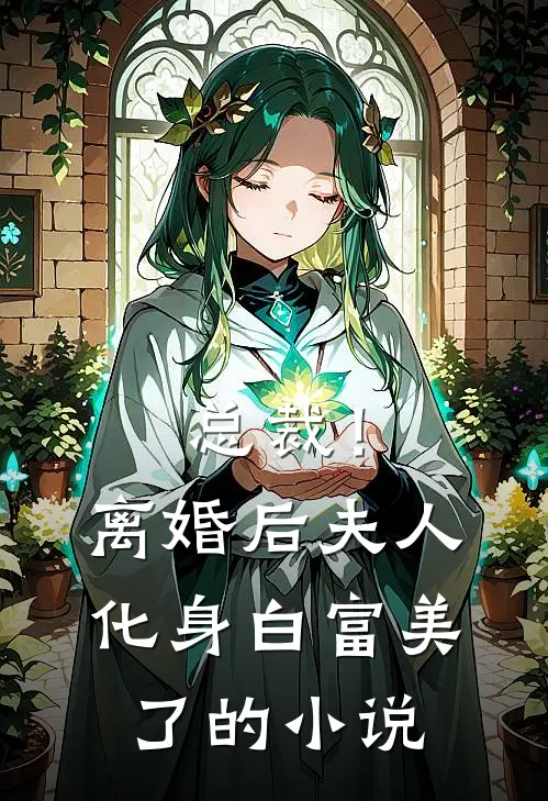 总裁！离婚后，夫人化身白富美了的小说