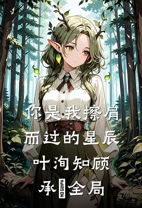 你是我擦肩而过的星辰叶洵知顾承沨全局