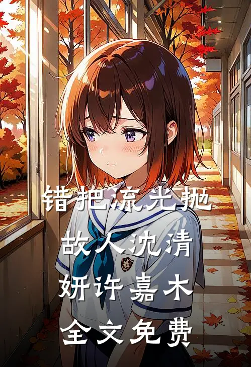 错把流光抛故人沈清妍许嘉木全文免费