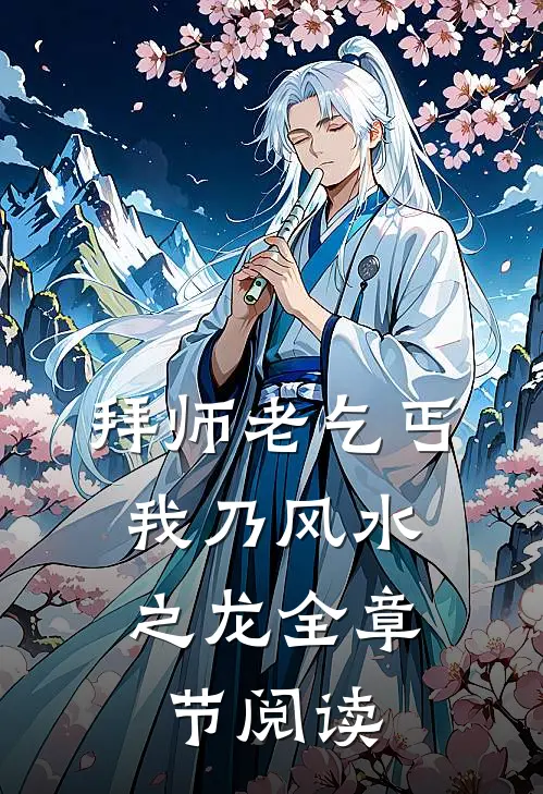 拜师老乞丐：我乃风水之龙全章节阅读
