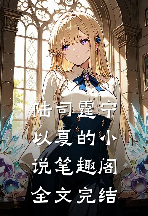 陆司霆宁以夏的小说笔趣阁全文完结