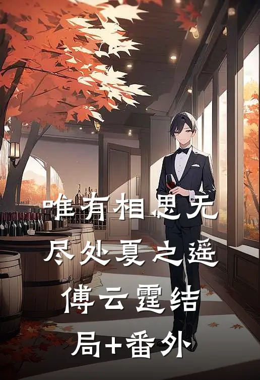 唯有相思无尽处夏之遥傅云霆结局+番外