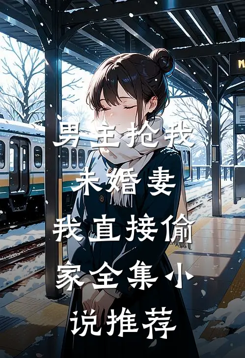 男主抢我未婚妻，我直接偷家全集小说推荐