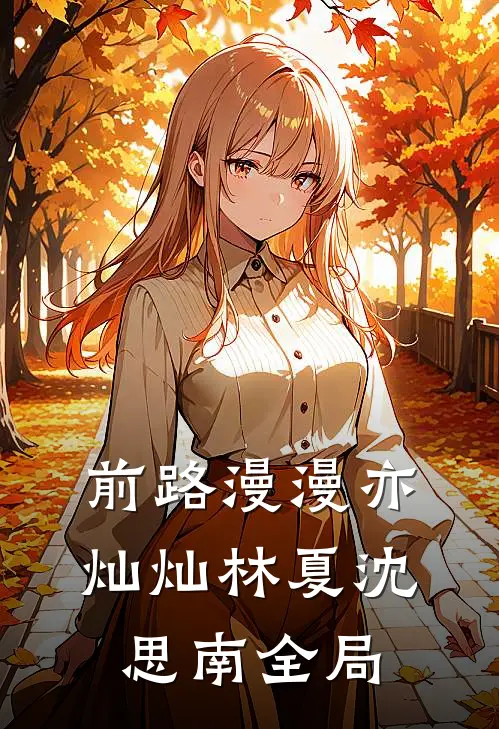 前路漫漫亦灿灿林夏沈思南全局