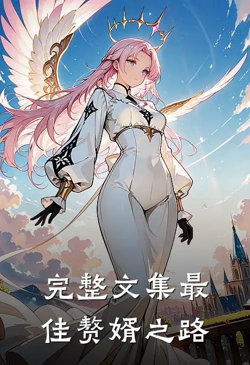 完整文集最佳赘婿之路