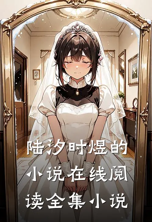 陆汐时煜的小说在线阅读全集小说