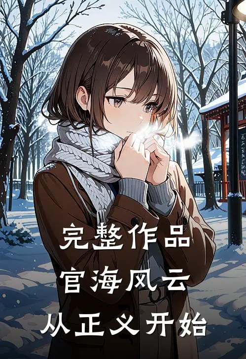 完整作品官海风云：从正义开始