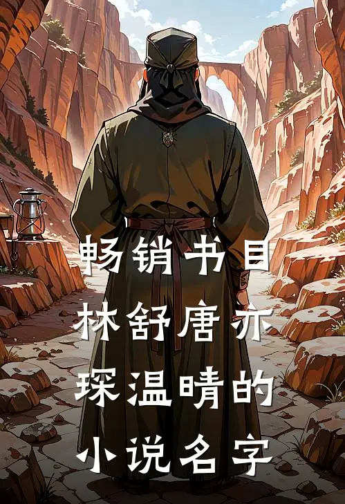 畅销书目林舒唐亦琛温晴的小说名字