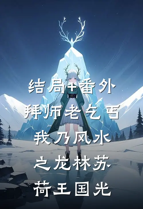 结局+番外拜师老乞丐：我乃风水之龙林苏荷王国光