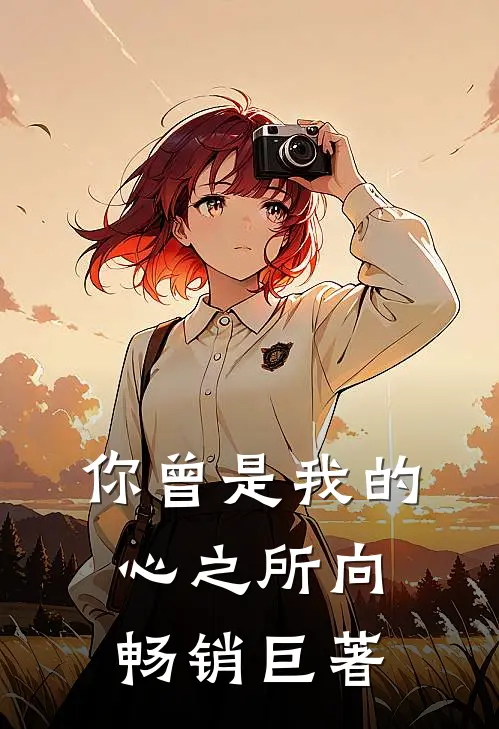 你曾是我的心之所向畅销巨著