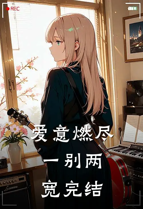 爱意燃尽，一别两宽完结