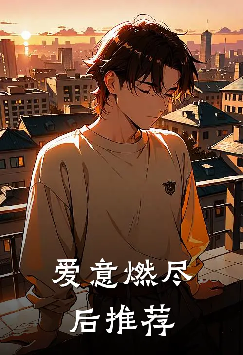 爱意燃尽后推荐