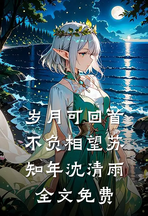 岁月可回首，不负相望苏知年沈清雨全文免费