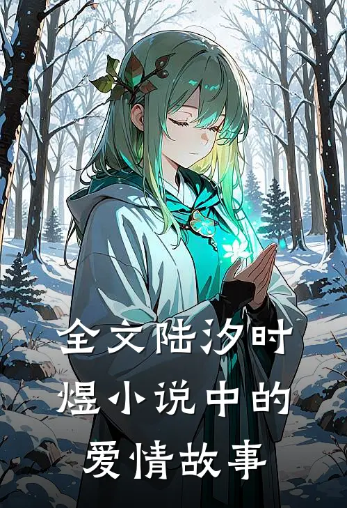 全文陆汐时煜小说中的爱情故事