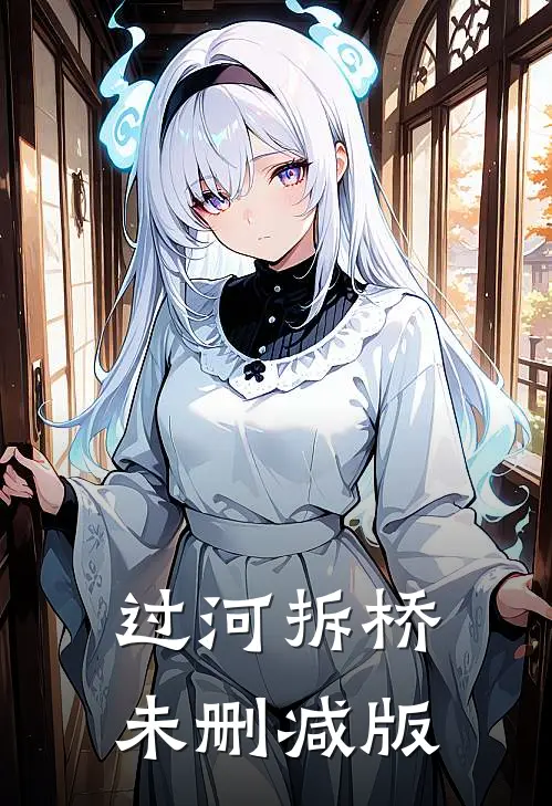 过河拆桥未删减版