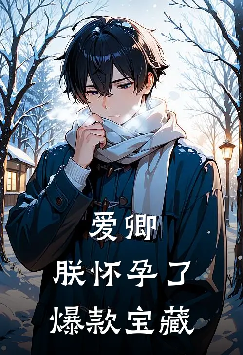 爱卿，朕怀孕了爆款宝藏