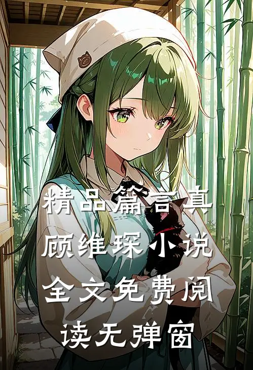 精品篇言真顾维琛小说全文免费阅读无弹窗