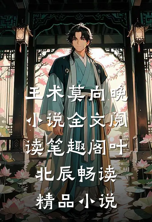 王术莫向晚小说全文阅读笔趣阁叶北辰畅读精品小说