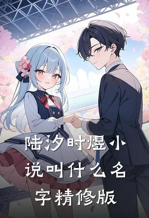 陆汐时煜小说叫什么名字精修版