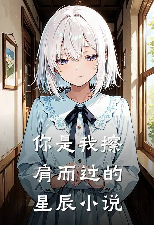 你是我擦肩而过的星辰小说