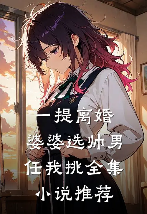 一提离婚，婆婆选帅男任我挑全集小说推荐