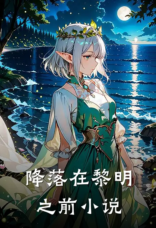 降落在黎明之前小说