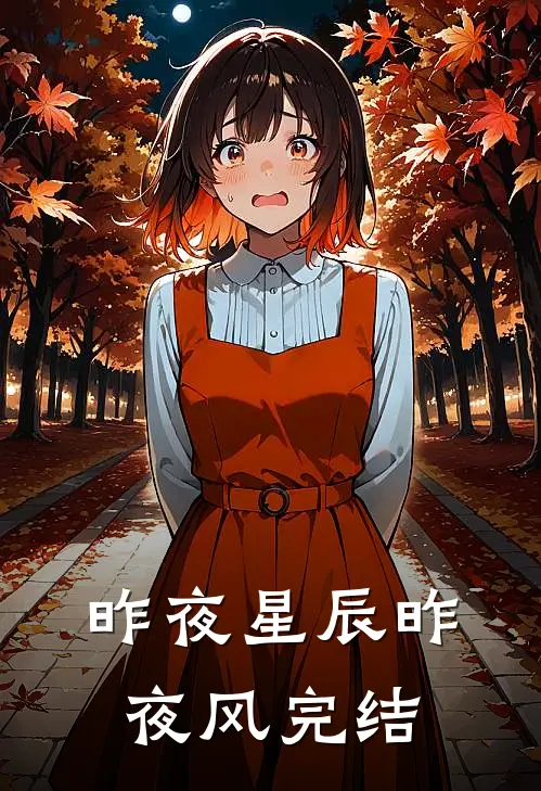 昨夜星辰昨夜风完结